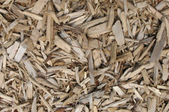 biomass boilers Naccolt